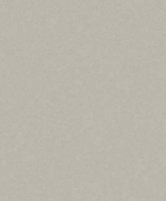 rapport