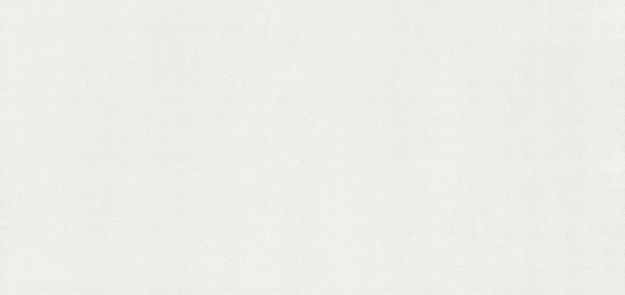 rapport